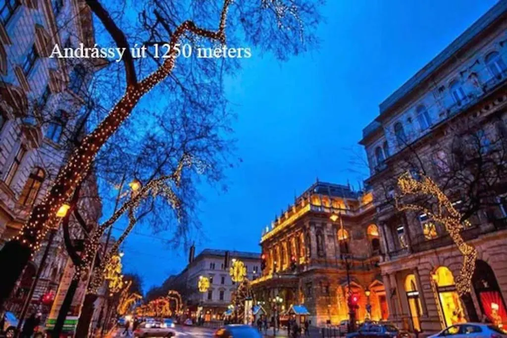 Keleti Apartment City Center Big Flat Bedroom Private Use Budapešť Maďarsko